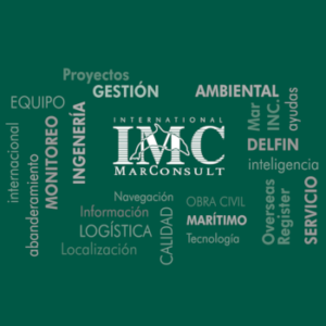 International Marconsult, Inc.